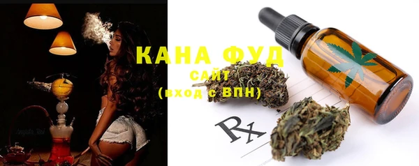 гашик Алзамай