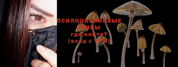 СК Аркадак
