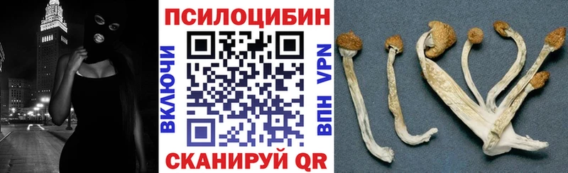 MEGA как войти  Новомосковск  Галлюциногенные грибы MAGIC MUSHROOMS  где купить наркоту 